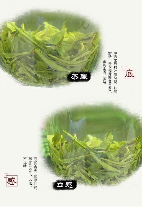 陕西特产 汉中绿茶西乡炒青500g耐泡味甘醇 满额包邮