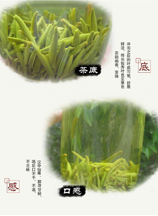 陕西特产 明前茶汉中仙毫 午子绿茶 满额包邮