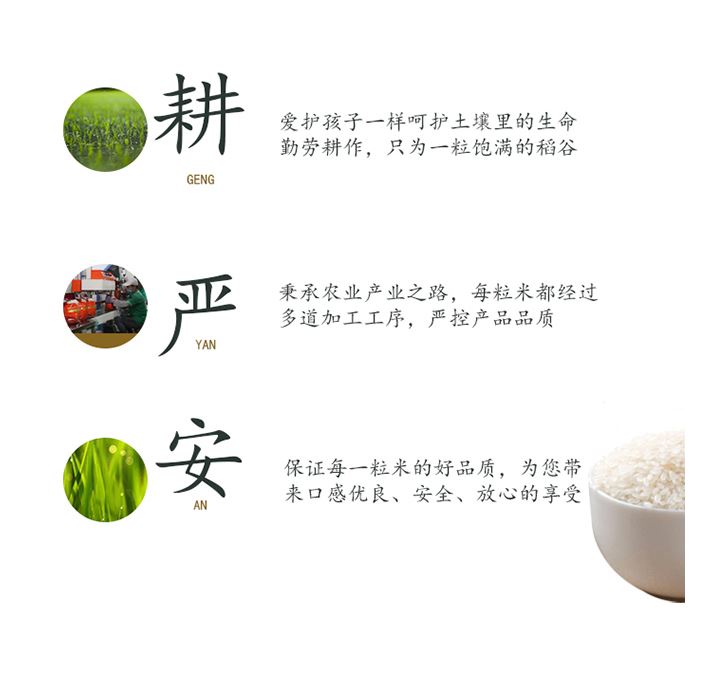 东北大米 十月稻田 长粒香  10kg/袋