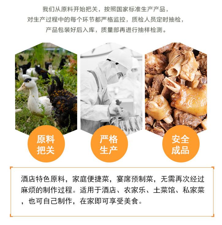 上海特产  熟制品酿造酱油制作大雁飞鸭简装系列小食品550克
