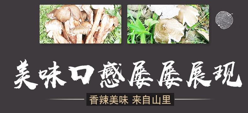 贵州特产  油鸡枞菌即食野零食生菌子香辣下饭真实纯油鸡纵2000g/盒