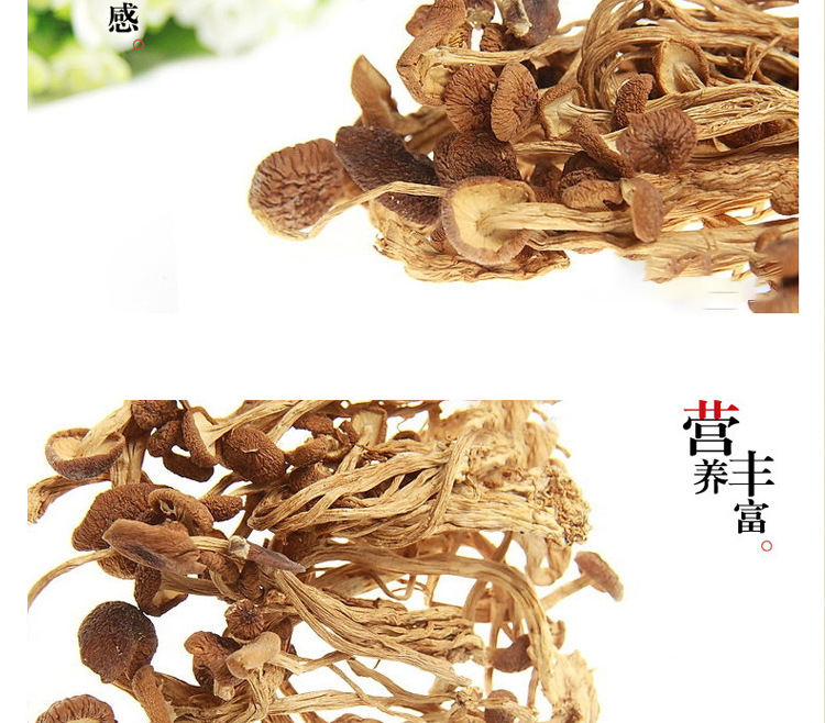 安徽特产   特级茶树菇 开伞茶薪菇无熏硫 食用菌特产干货 110g袋