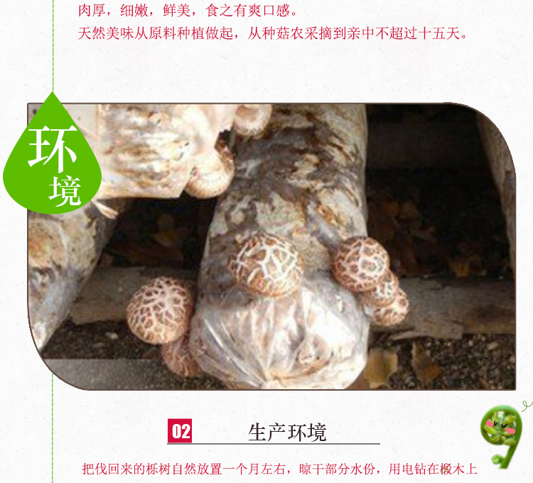 安徽特产      椴木香菇冬菇 菌菇干货特产 特级花菇 150g袋装