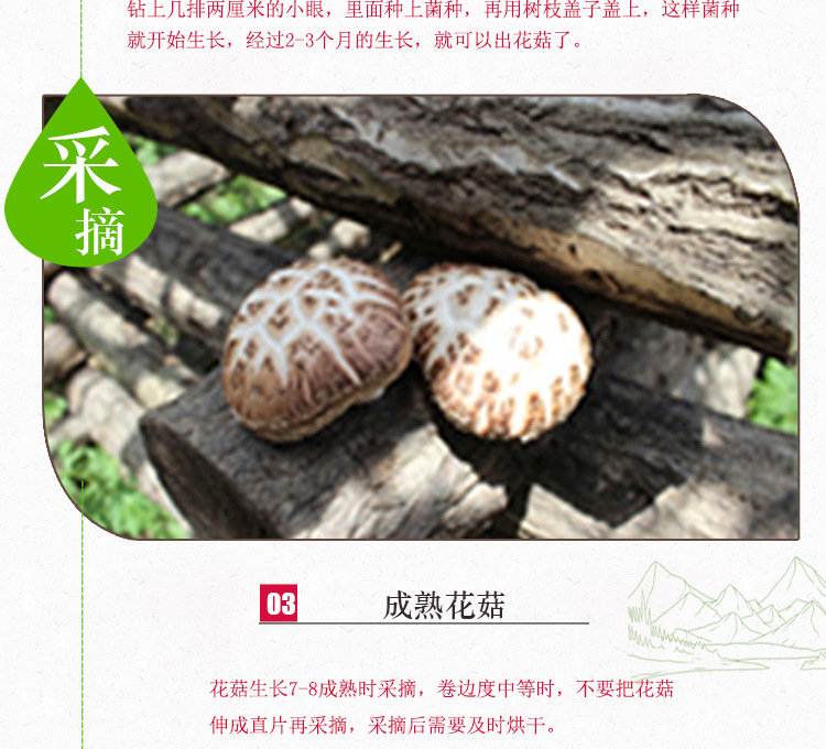 安徽特产      椴木香菇冬菇 菌菇干货特产 特级花菇 150g袋装