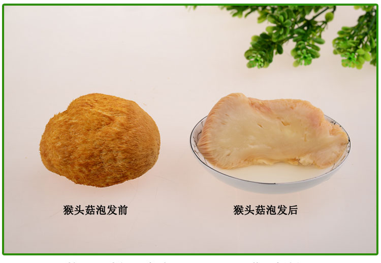 安徽特产  食用菌优质猴头菇干货110g
