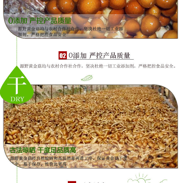 安徽特产 野生黄金菇鸡油菇110g