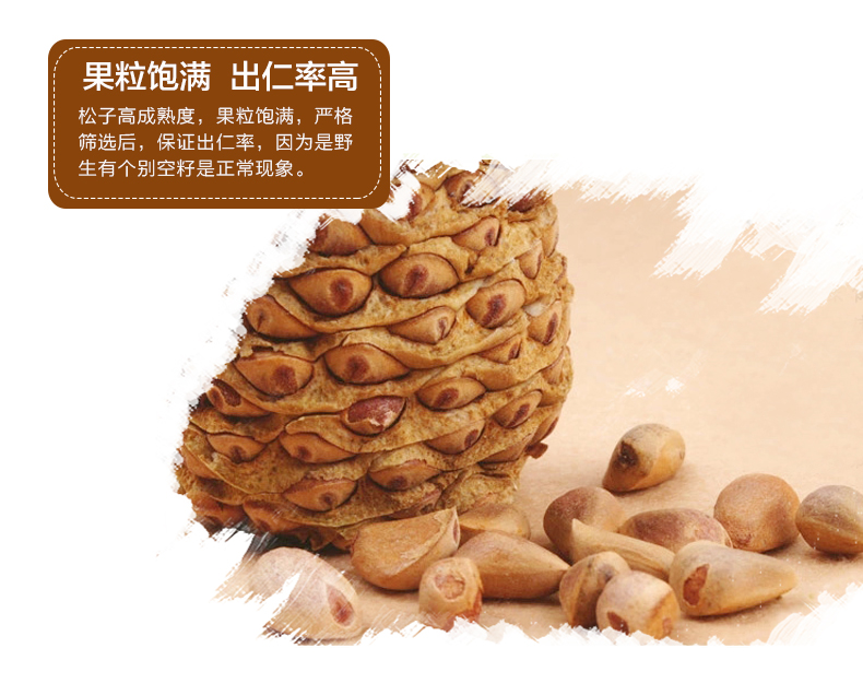 黑龙江特产 北域珍奇 东北野生生松子 大颗粒未加工新货500g