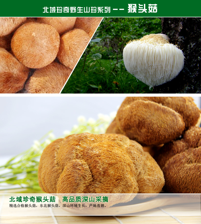 黑龙江特产 北域珍奇 东北猴头菇干货 猴头蘑菇200g长白山特产蘑菇