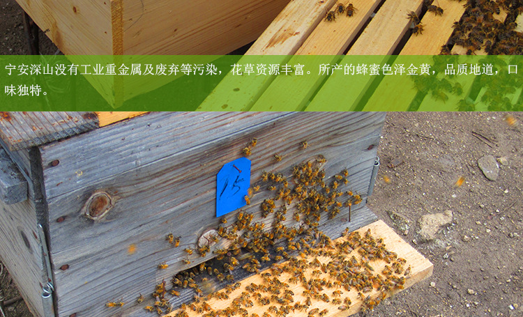 黑龙江特产 东北野生蜂蜜 巢蜜 椴树蜜 自然封盖 举报