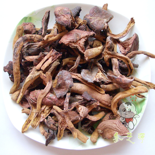 吉林特产 红蘑 东北野生一级松伞干蘑菇 松伞木耳菌类
