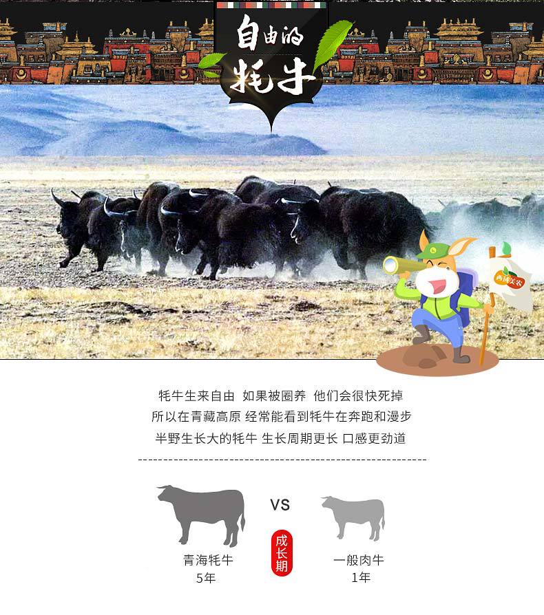 陕西特产 【西域美农_牦牛肉干90g】五香牦牛肉干