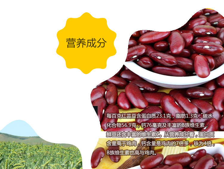 东北特产 老街基五谷杂粮红芸豆 精选优质品种 真空包装400g 