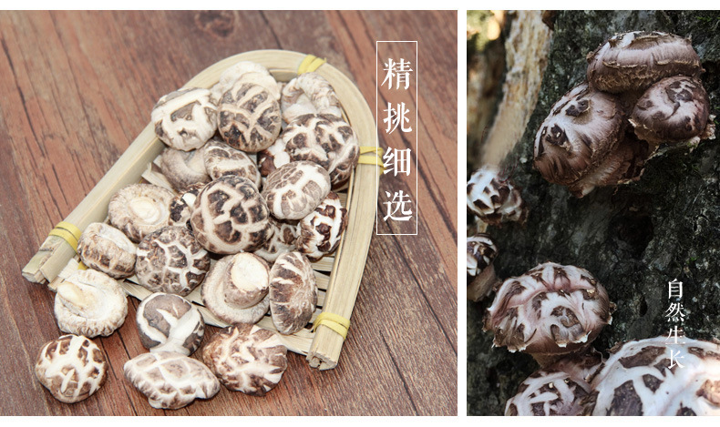 河南特产 海行家 足干短脚野生小花菇香菇冬菇蘑菇 500g