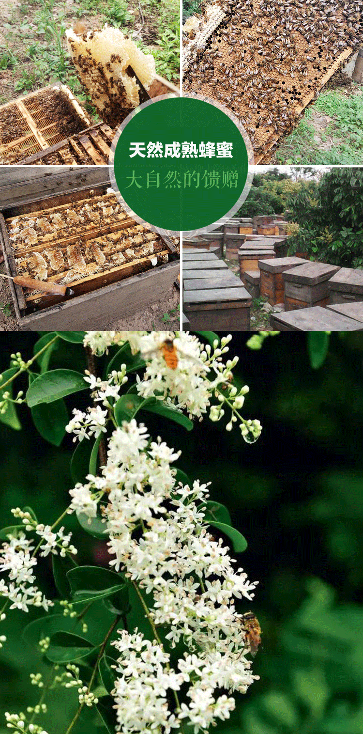 广西特产 【蜜相思】蜂蜜纯天然 桂林特有土蜂蜜 