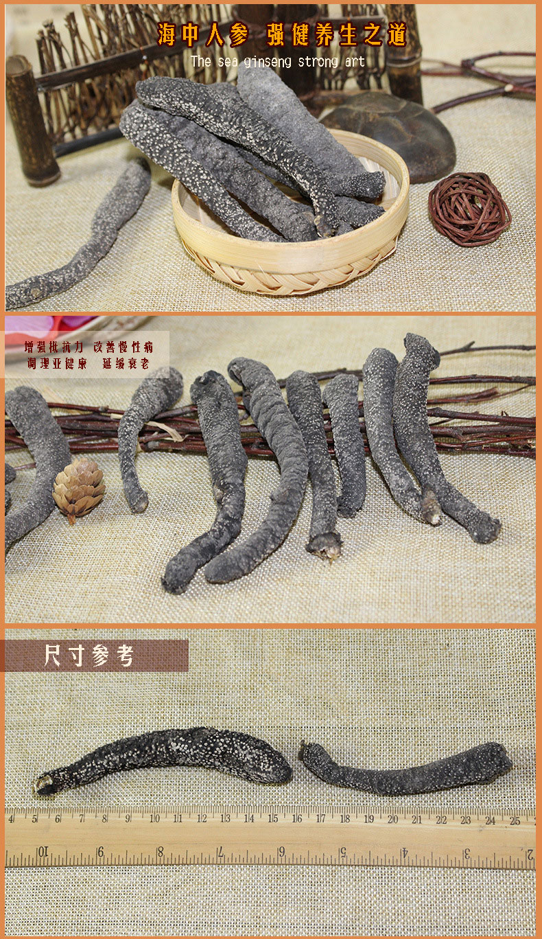 广东特产 老渔家 黑花蛇参 野生海产品