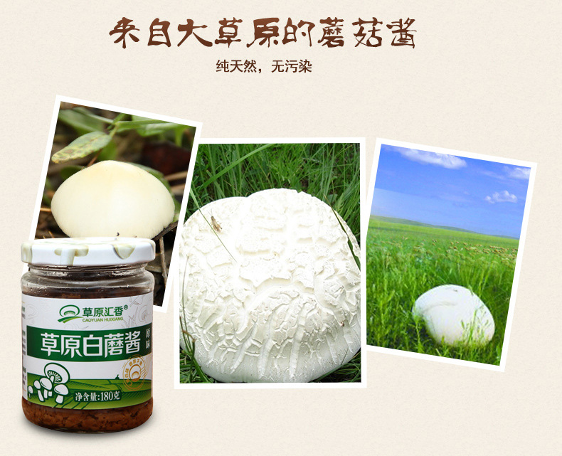内蒙古特产 蘑菇酱系列6瓶装礼品盒 草原汇香 