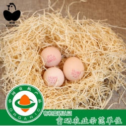安徽特产 农家散养有机富硒土鸡蛋 认证富硒土鸡蛋 有机鸡蛋25枚盒装 